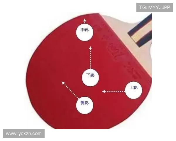 广州乒乓球队的阵地战揭秘与深度分析探讨乒乓球的战术与技巧